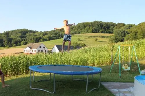 Zimmer Steger