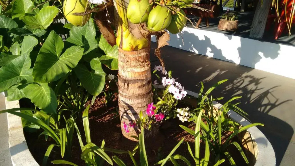 Pousada Sorocabana