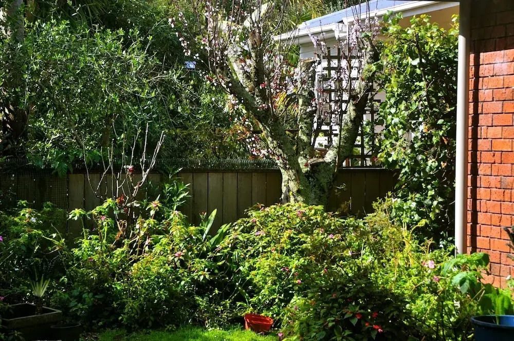 Art BnB Devonport