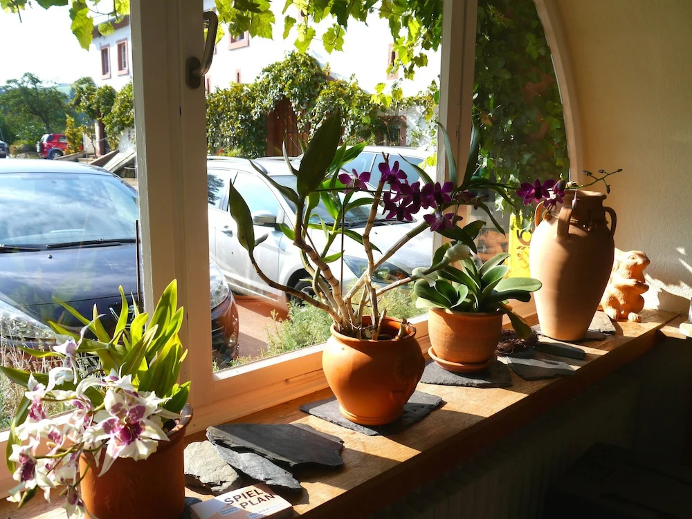 Hotel-Weingut Karlsmühle