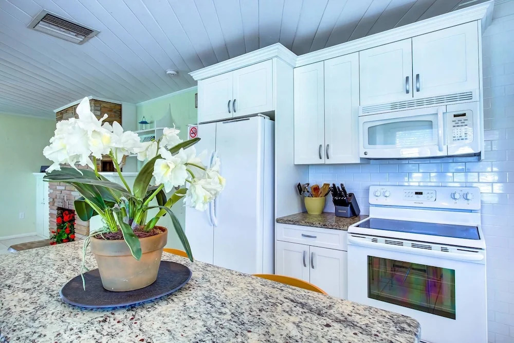 Driftwood Beach Oasis