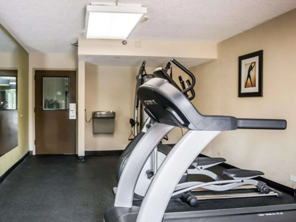 Comfort Inn & Suites St Pete - Clearwater International Airport