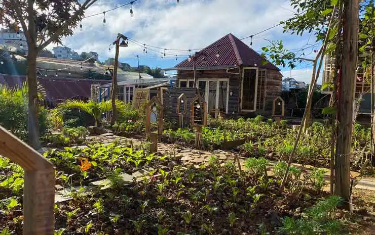The Burrow Dalat