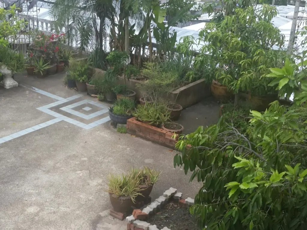 Vanilla Place