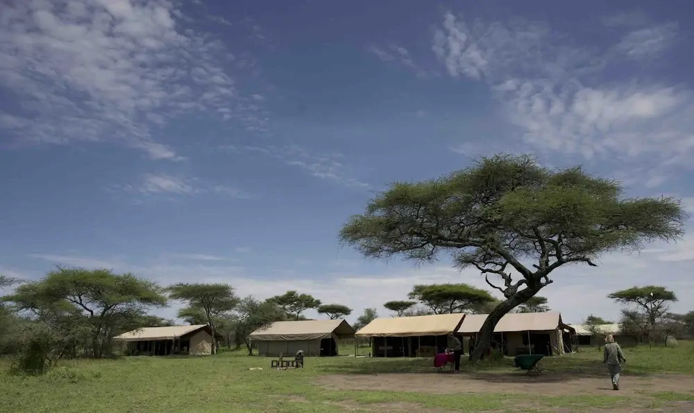 The Royal Migration Camp - All Inclusive