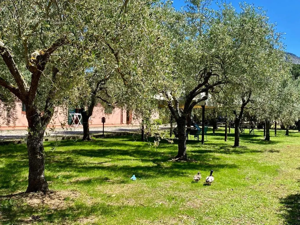 RESIDENCE TERME ISOLA DELBA SRL