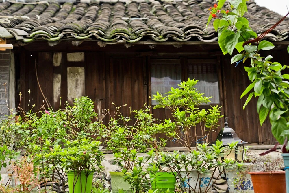 Wuzhen Home of Tom American Style Resort
