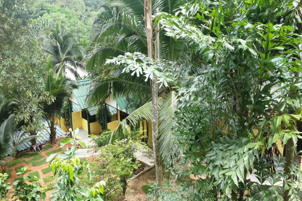 Island Lodge