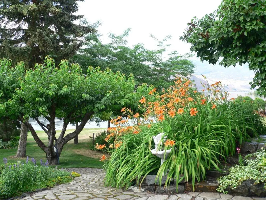 Lakeside Country Inn