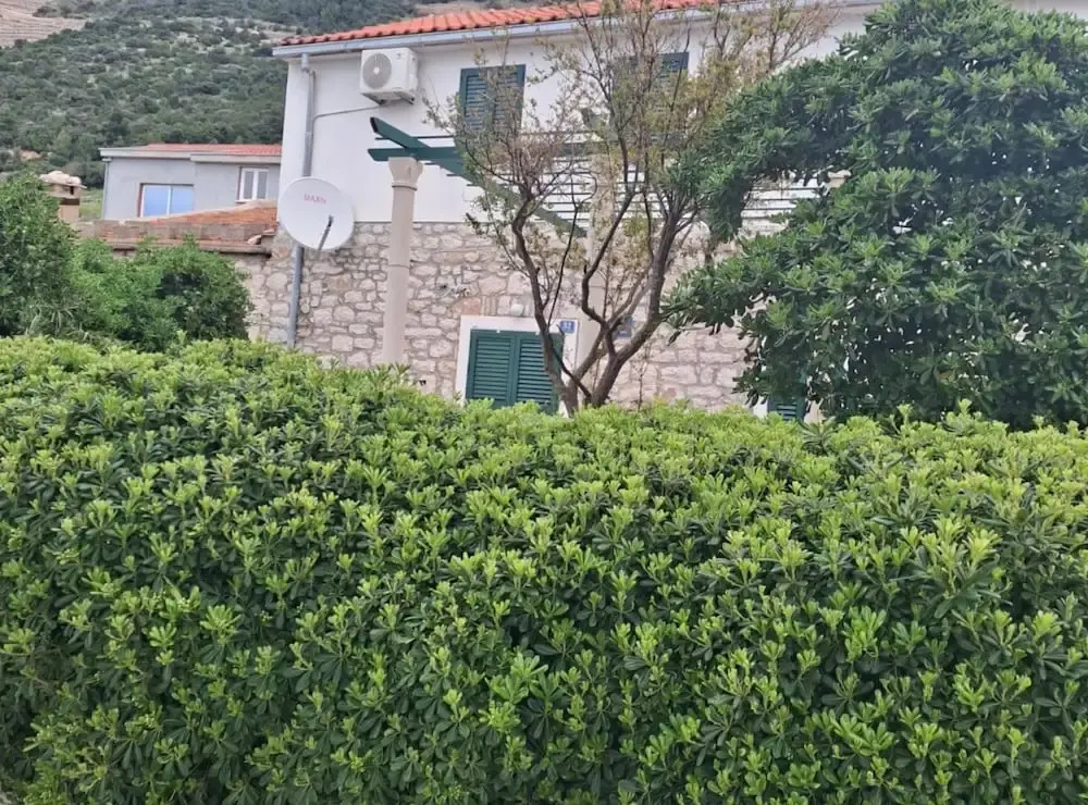Villa Jagoda