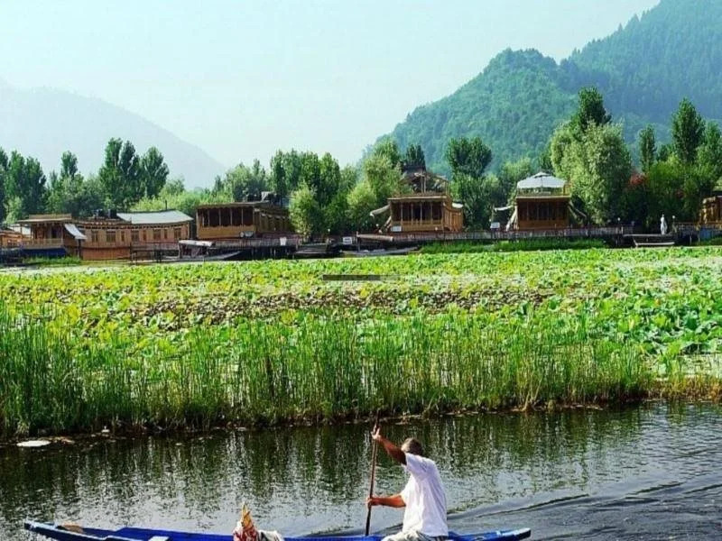 Kashmir Palace Group Of Houseboats