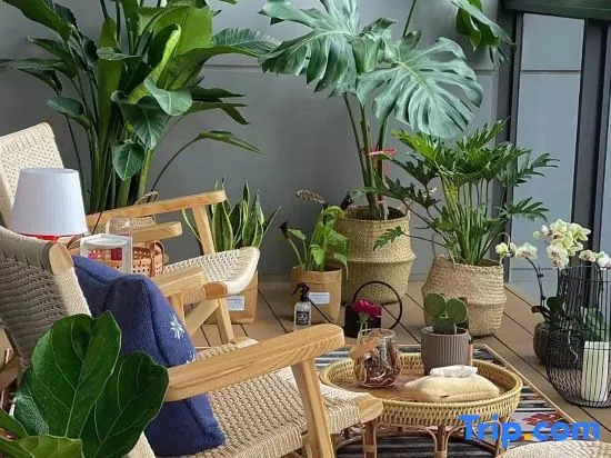 Yumo Boutique Guesthouse