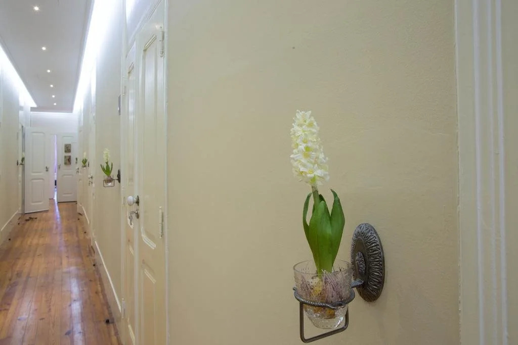 Typical Lisbon Guest House