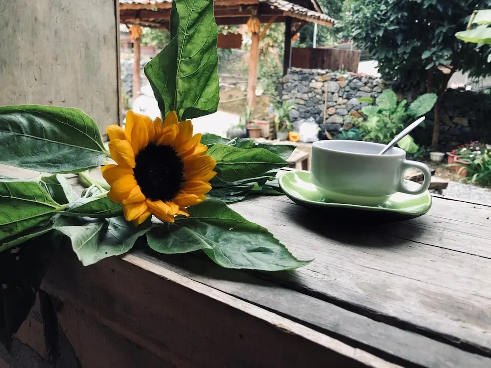 homestay bongbang