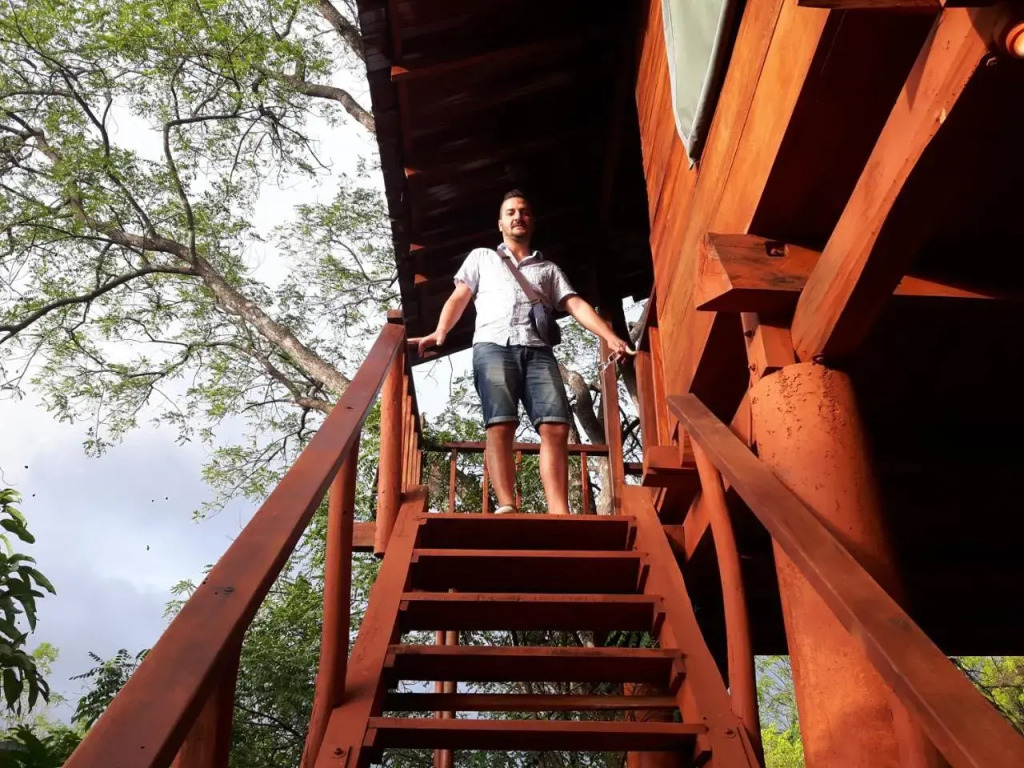 Dambulla Tree House