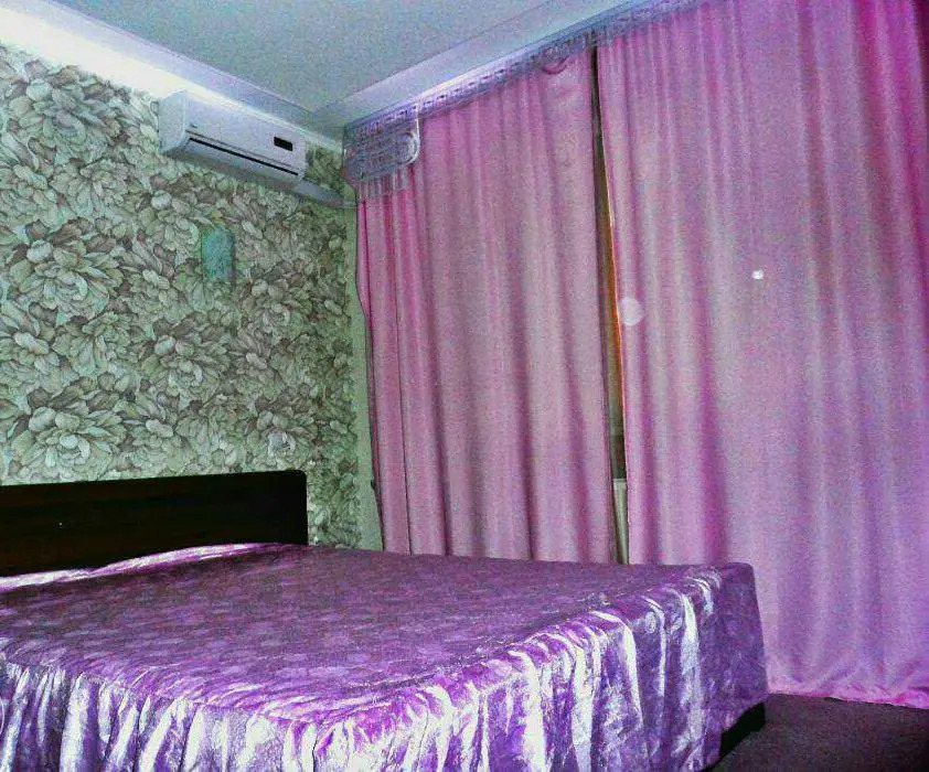 Apartment On Gagarina 174