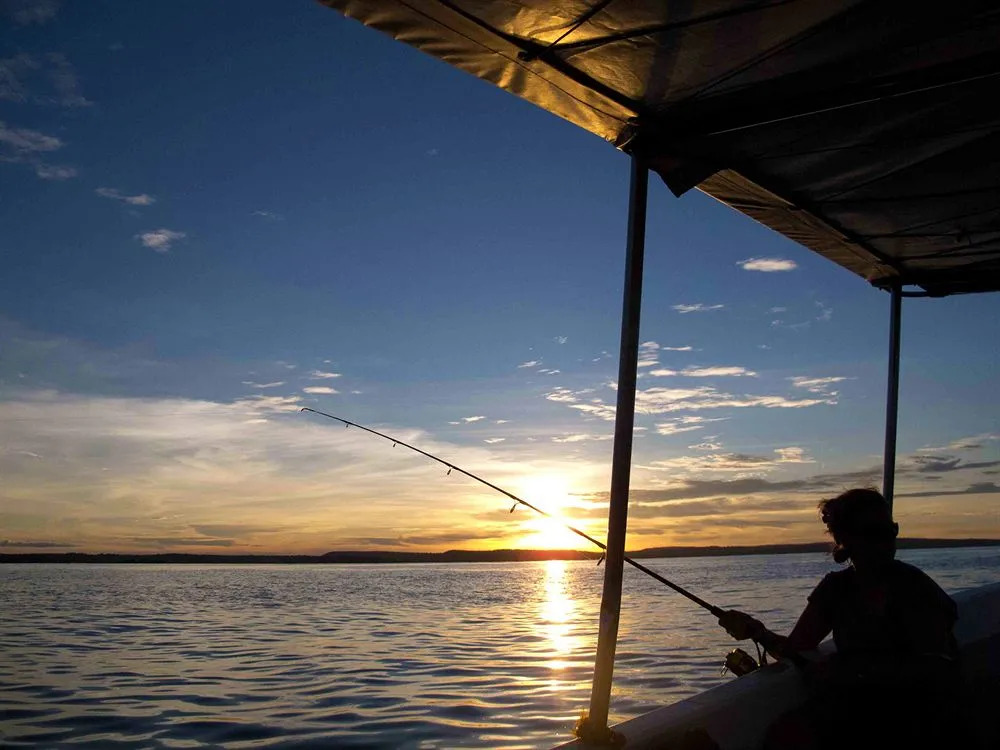 Rubondo Island Camp