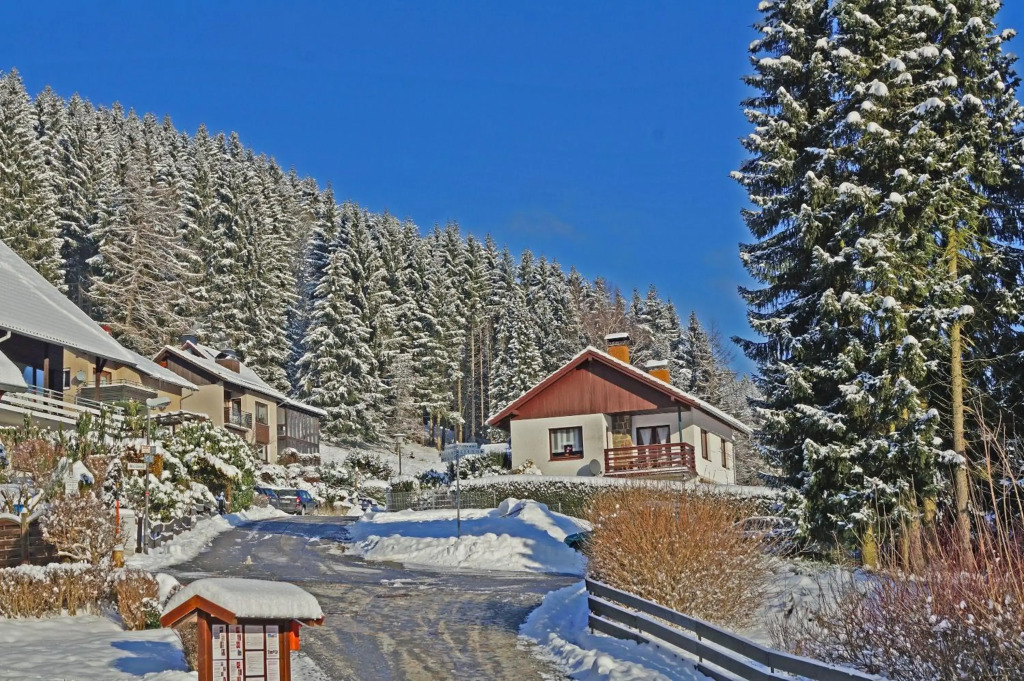 Ferienwohnung - Waldwasser mit Waldblick