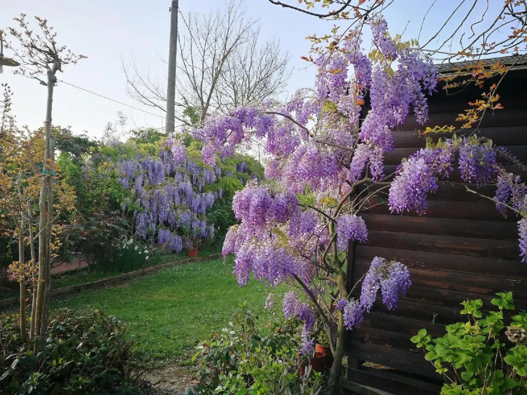 Locanda le Boscarecce