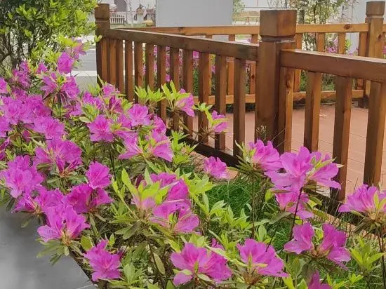 Yunshanying B&B (Tianzhushan Scenic Area Branch)