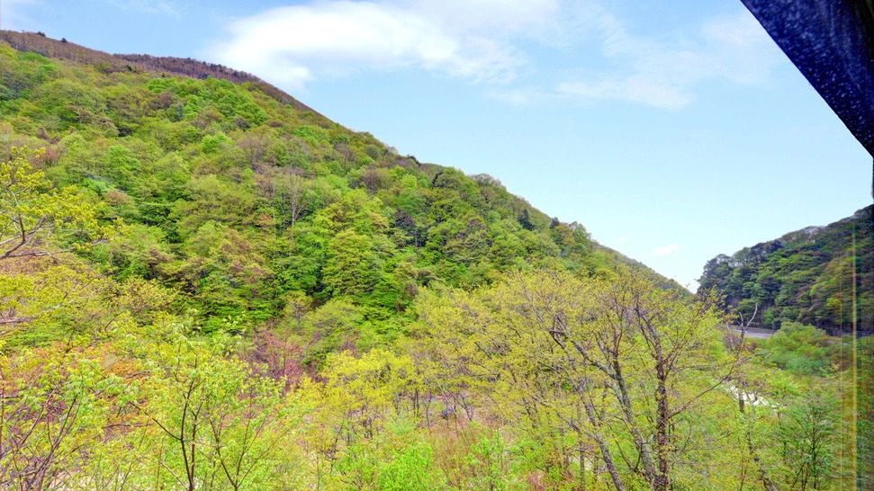 Goshiki Onsen No Yu Ryokan