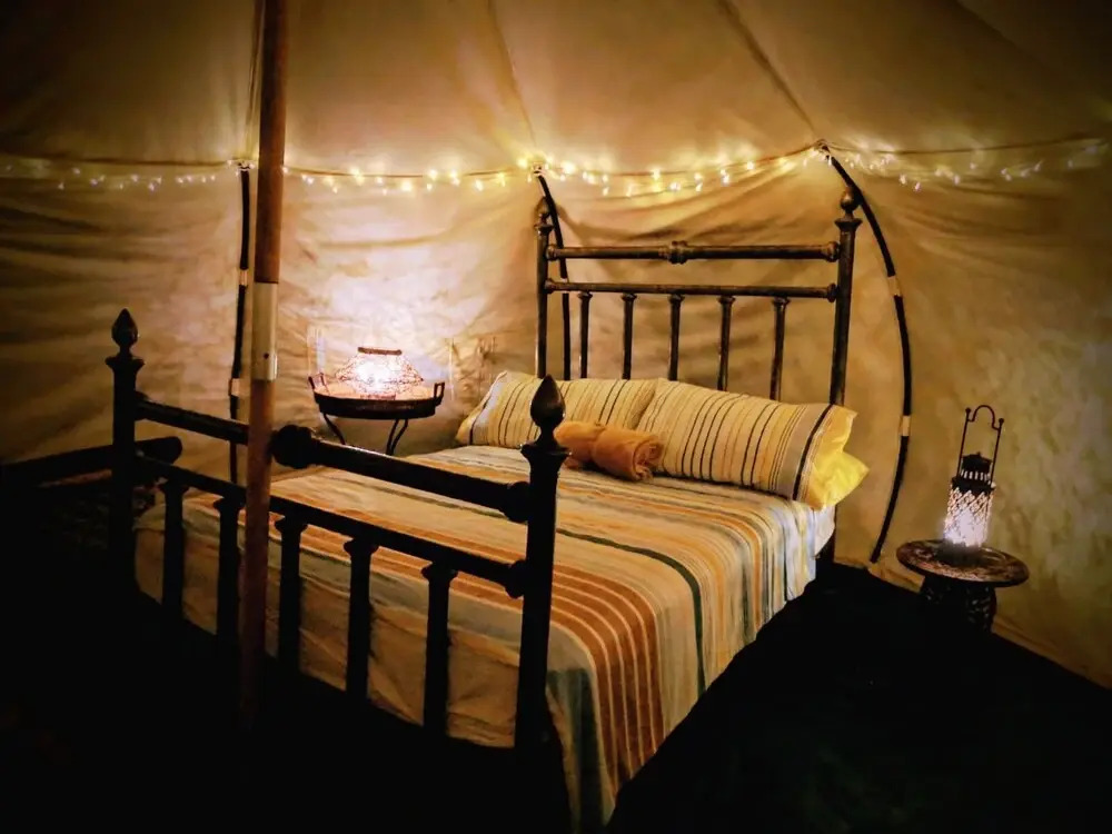 Wild Lotus Camp