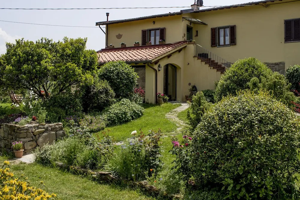 Villa Porcigliano Olive Grove