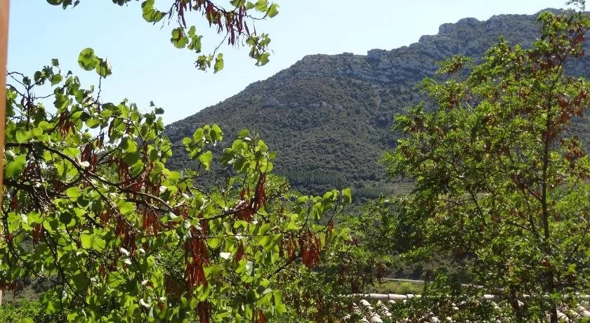 Les Santolines