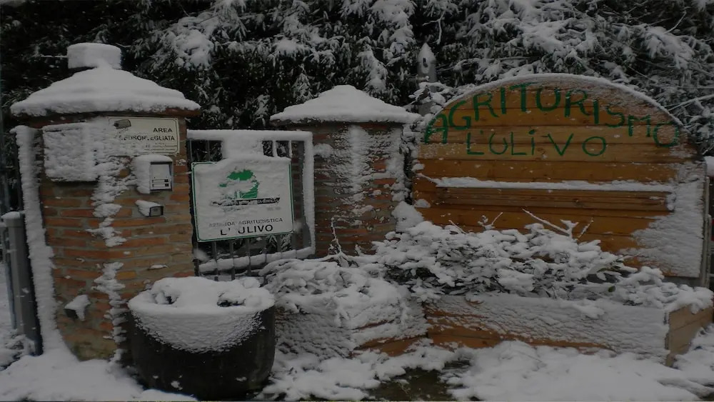 Agriturismo LUlivo