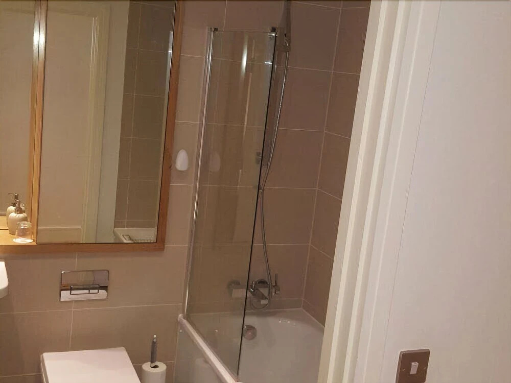 2 Bedroom Apartment on the River Thames