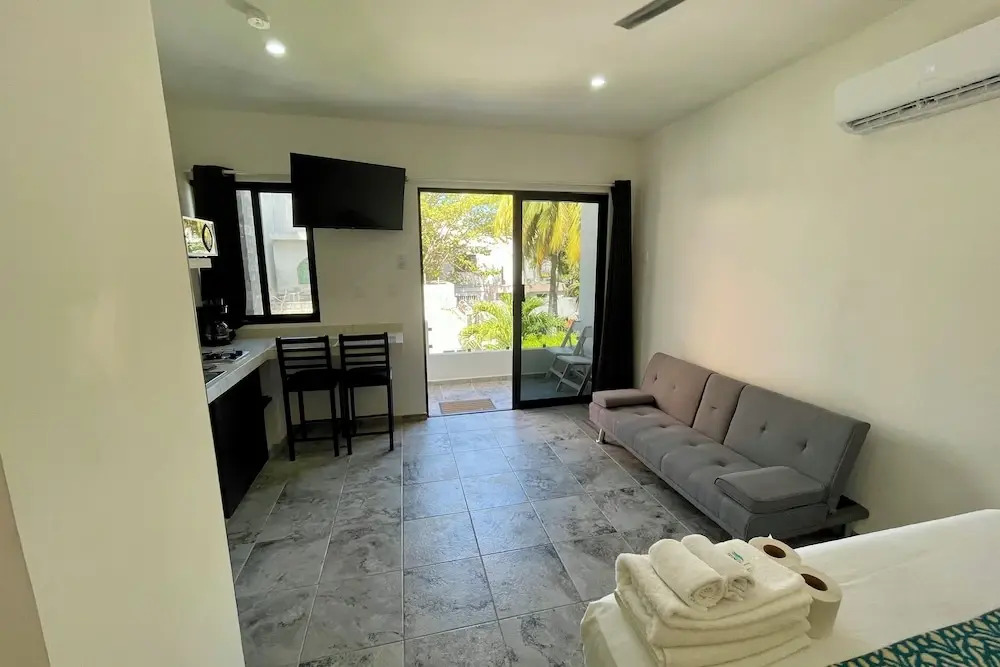 Lavish Studio w Balcony Downtown 3