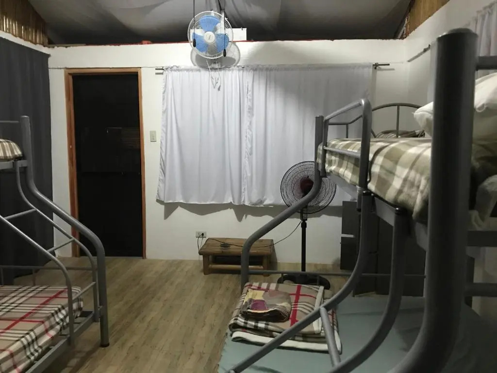Hostel Lions