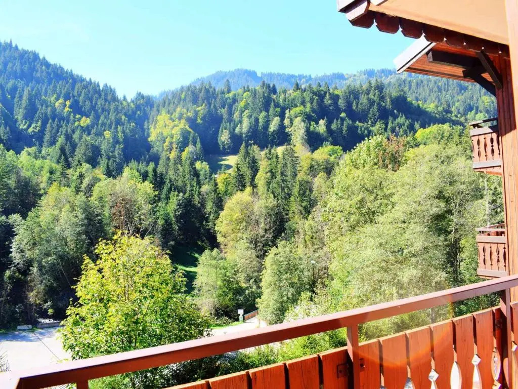 Appartement Morzine, 2 pièces, 6 personnes - FR-1-524-19