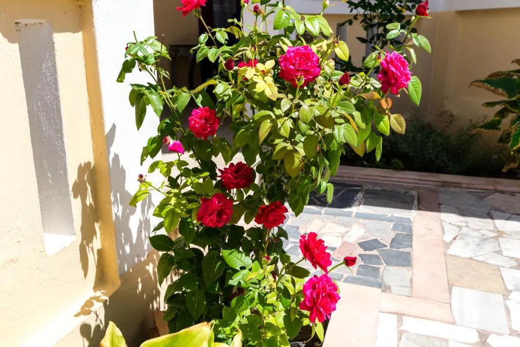 Erato Hotel Apartments