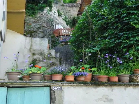 Le Liseron Bleu