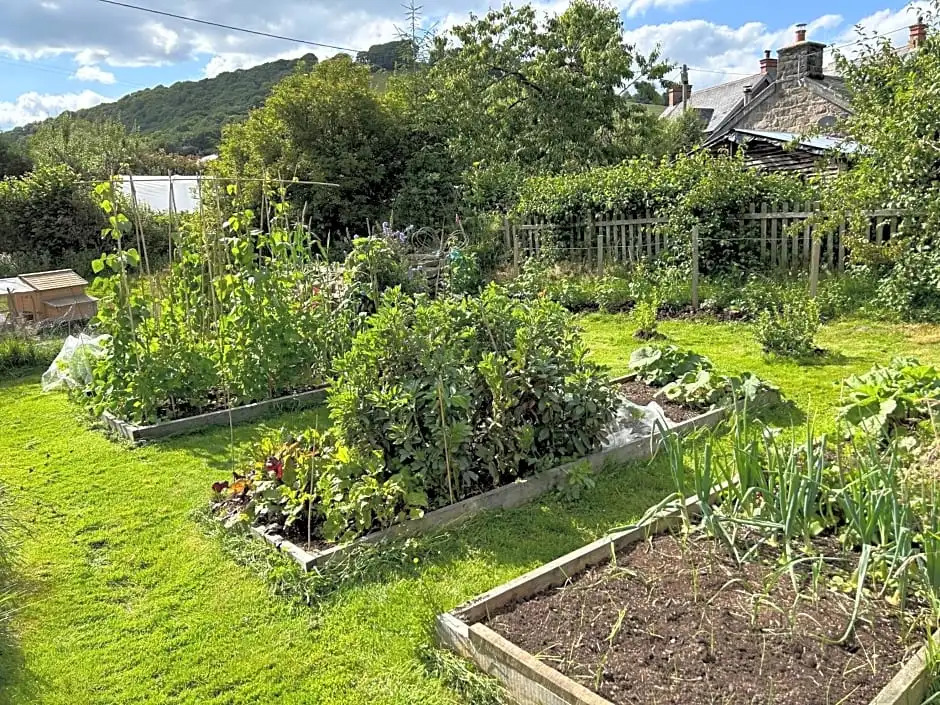 Y Felin Bed and Breakfast and Smallholding