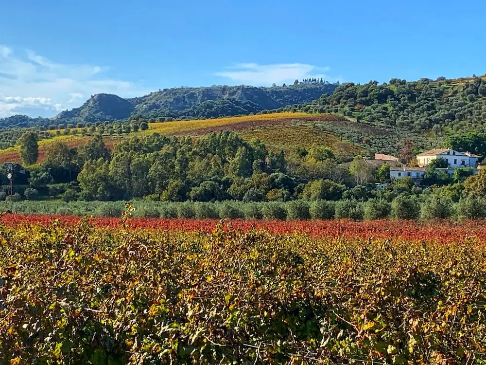 Agriturismo Dattilo