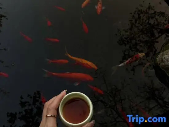Memories Impression Guesthouse