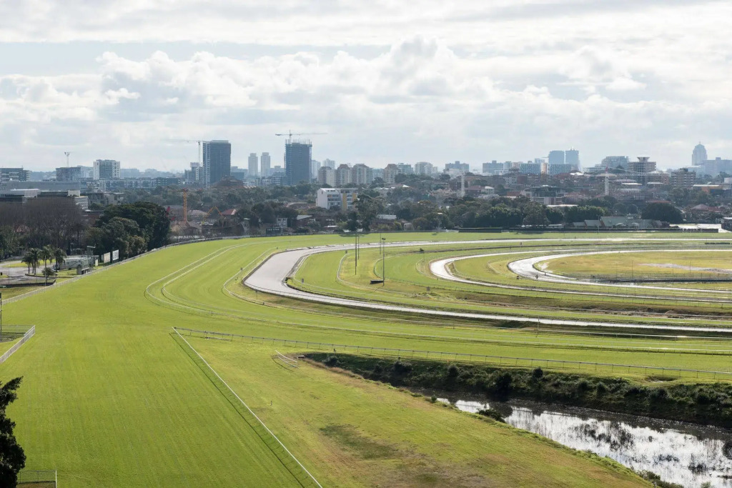 Randwick Space