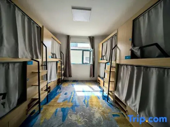 Koala Capsule Chinese Inn