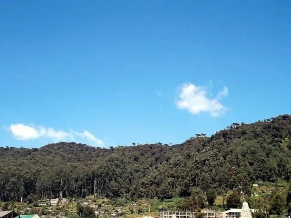 Thuvaraga Inn