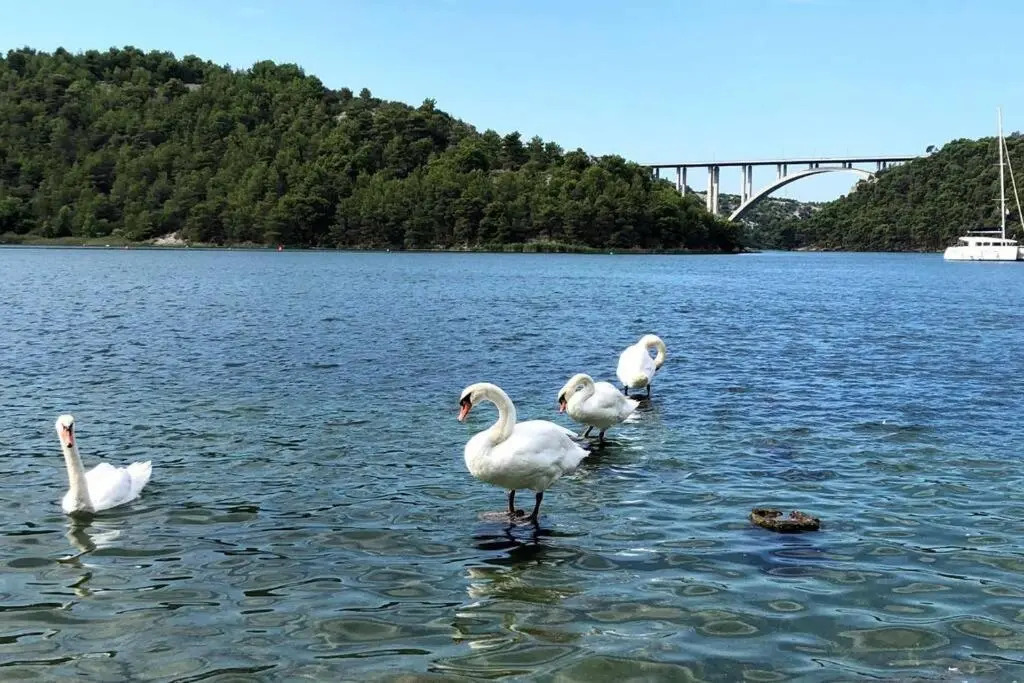 Family house Scardona - dreams by the river Krka