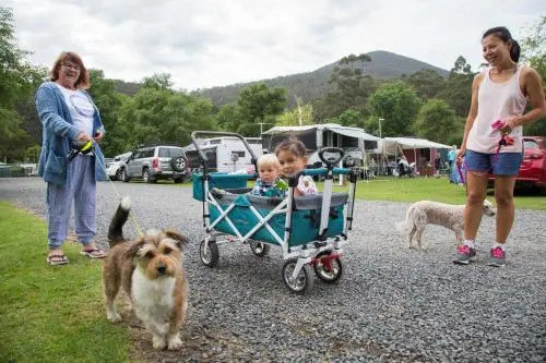 Warburton Holiday Park
