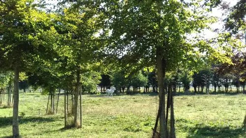 't Klein Keuvelhof