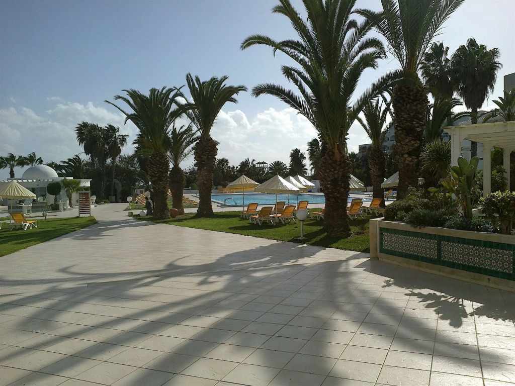 Yadis Hammamet