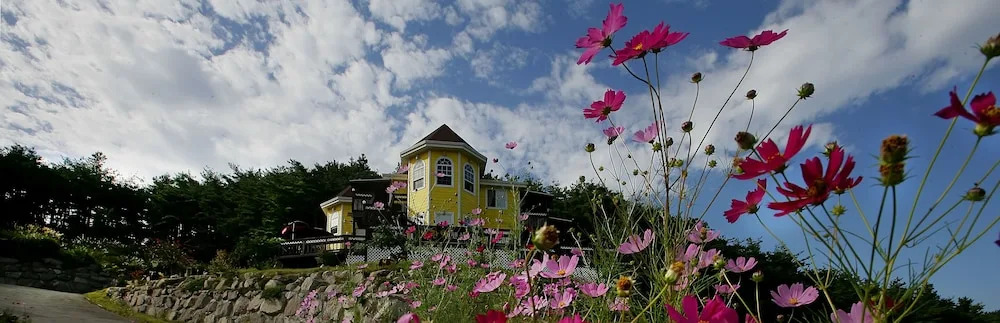 Yellow star Pension