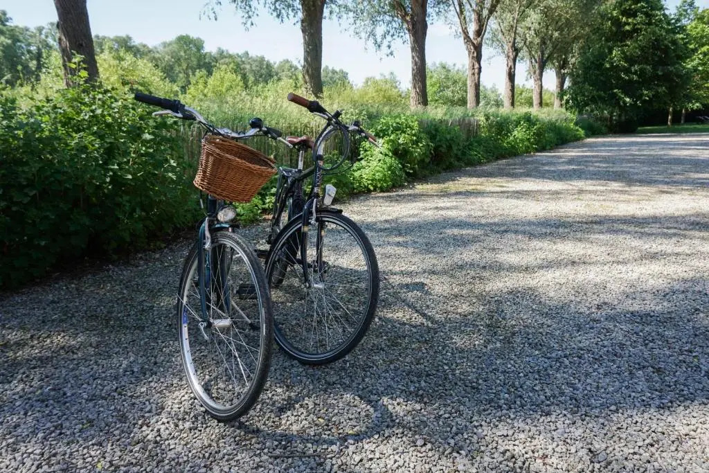 B&B Scheldekant