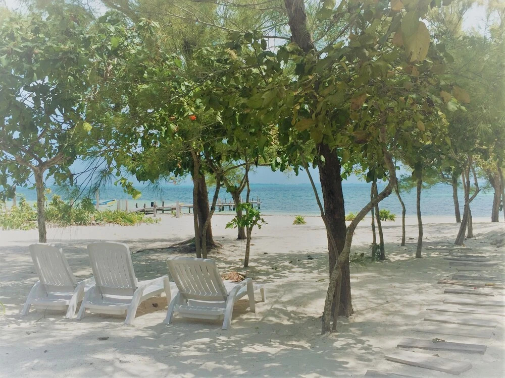 Sea by C - Apartments - Adults Only
