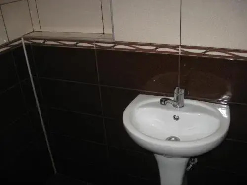 Guest House Romashka