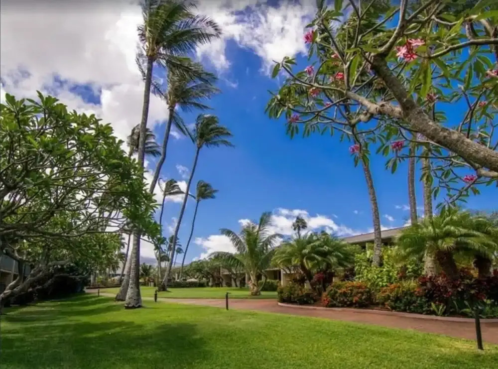300 Steps to Beach Napili Shores Pool & BBQ